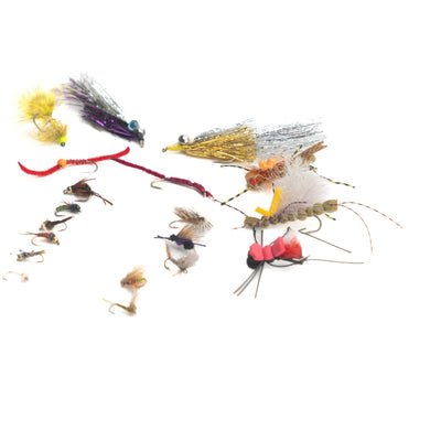 Bow River Fly Selection