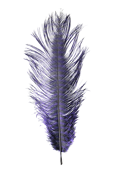 MFC Ostrich Plumes