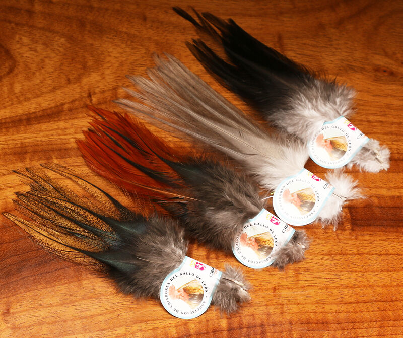Gallo De Leon Feathers