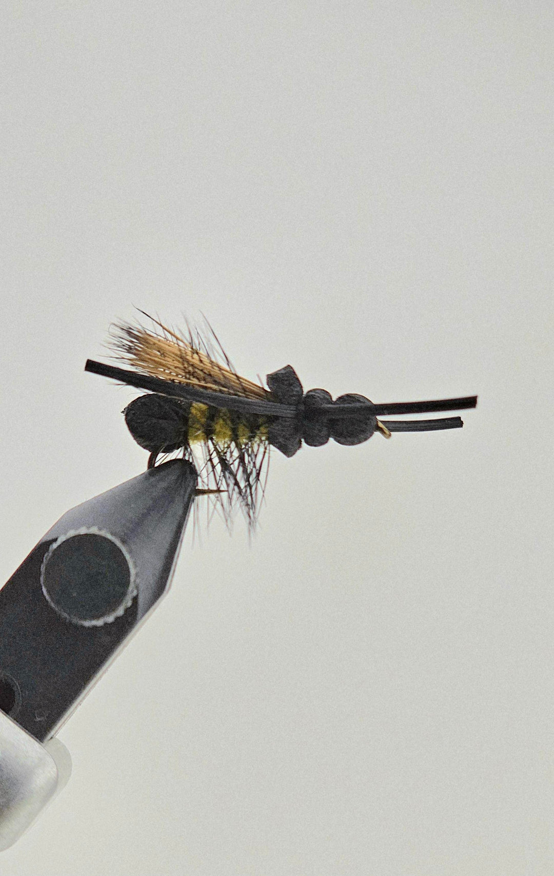 Stoneflies – Bow River Troutfitters