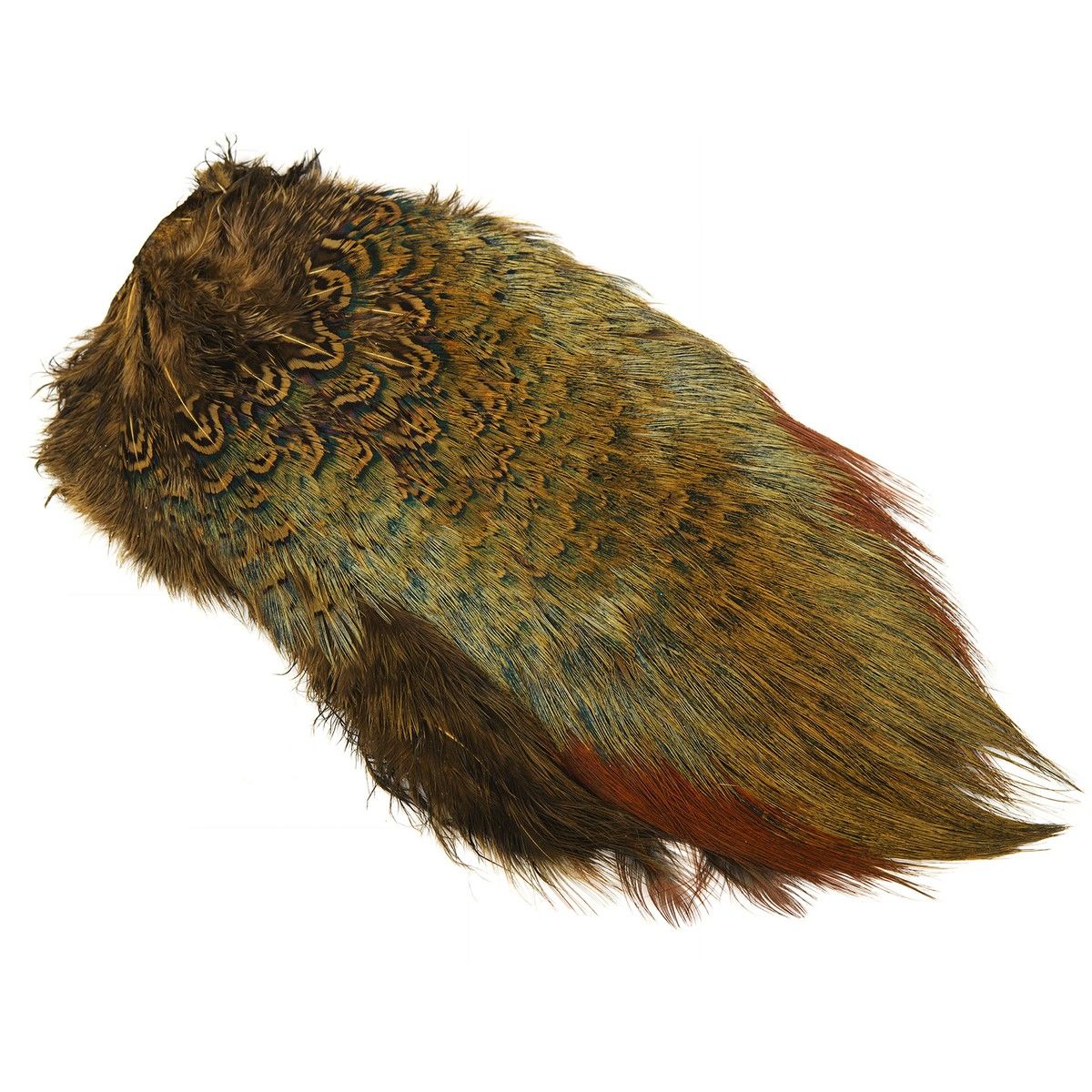 Pheasant Rump