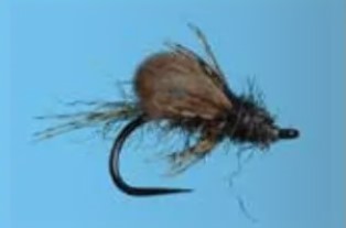 CDC Bubble Back Caddis