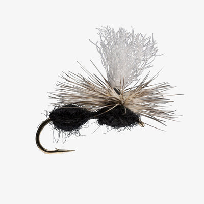 RIO's Parachute Ant