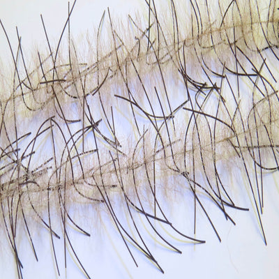 Lively Legs Crustacean Brush 1"