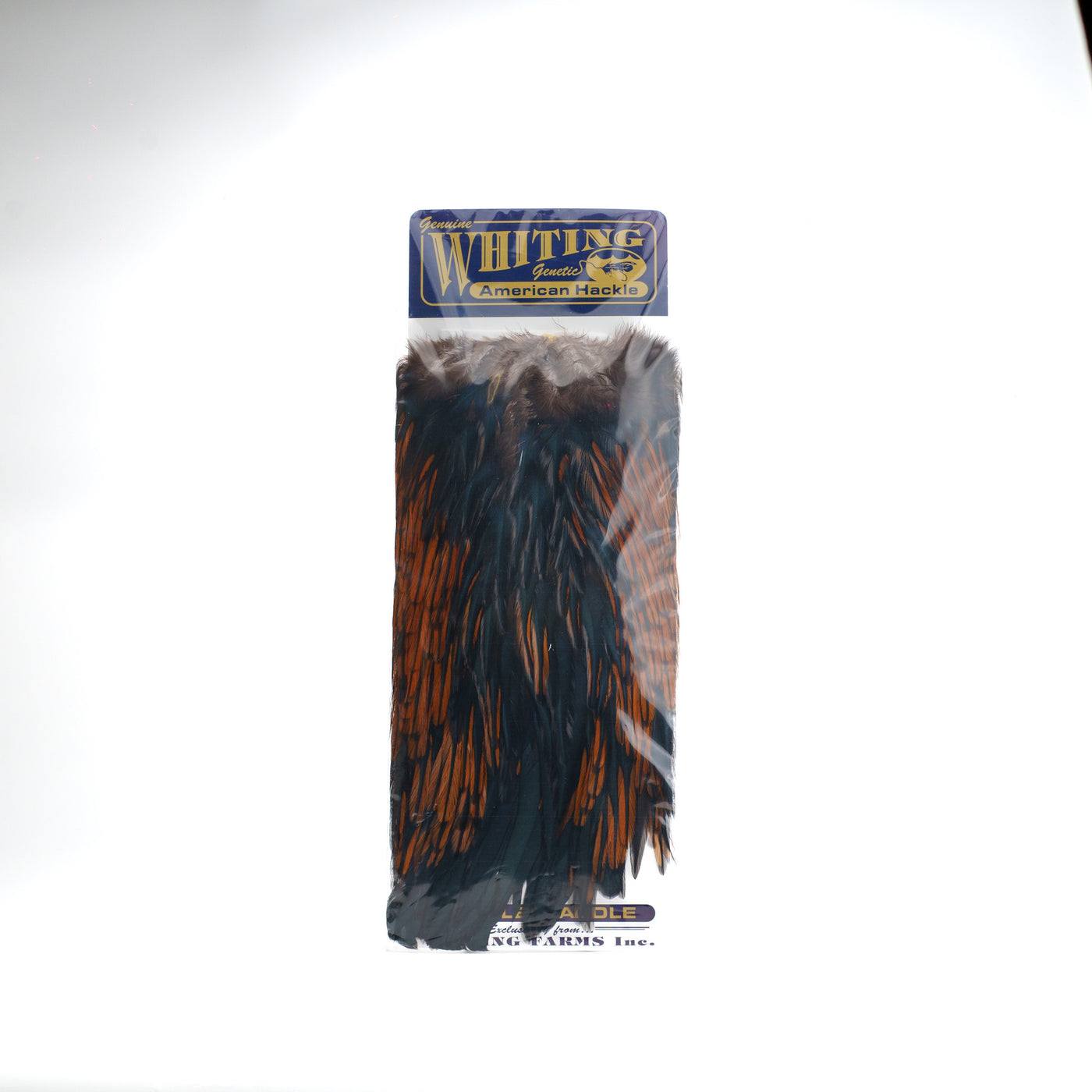 Whiting Farms Genetic American Rooster Saddle