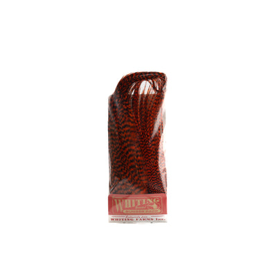 Whiting Farms Bugger Pack