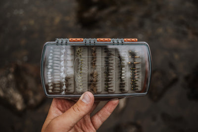 Tacky Pescador Fly Box Medium-Clear