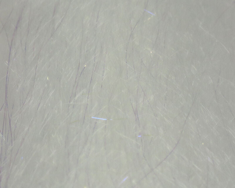 Steve Farrar's Flash Blend