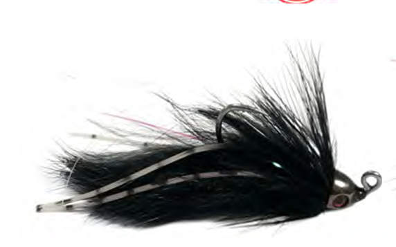 Catch's Eyed Whistle
