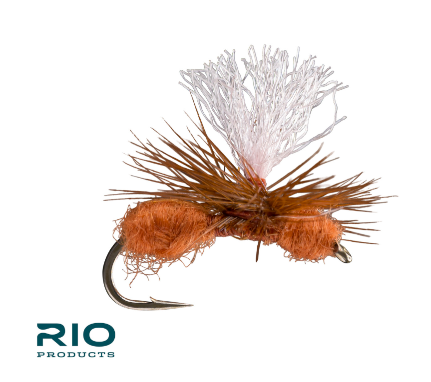 RIO's Parachute Ant