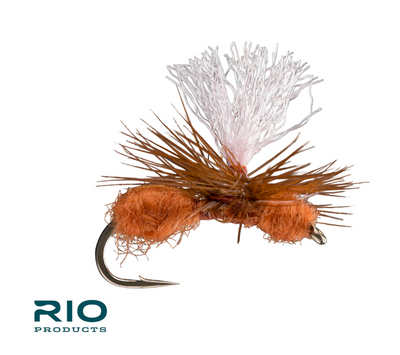 RIO's Parachute Ant