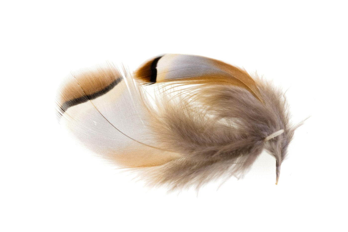 Wapsi Chukar Feathers