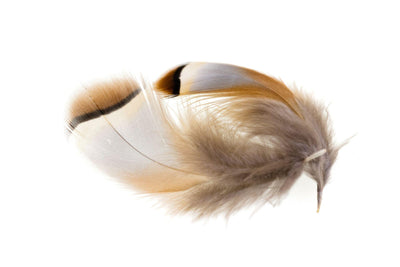 Wapsi Chukar Feathers
