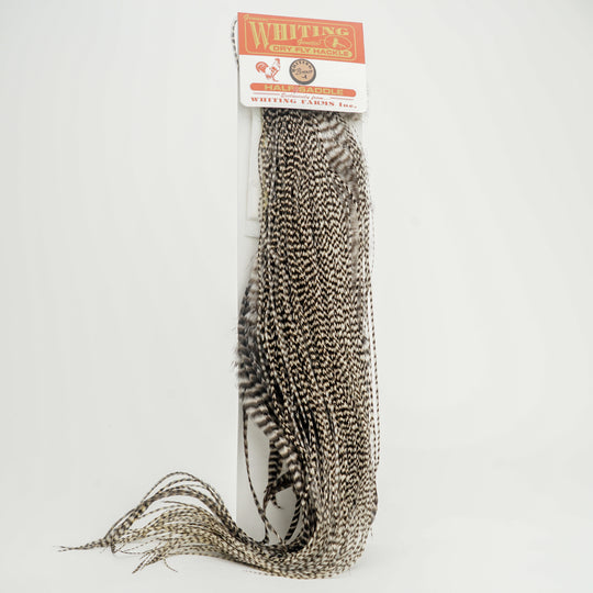 1A9453ED-666C-4FB8-93A3-