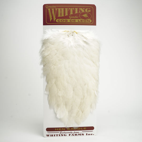 48E3128A-12D7-4889-98A1-