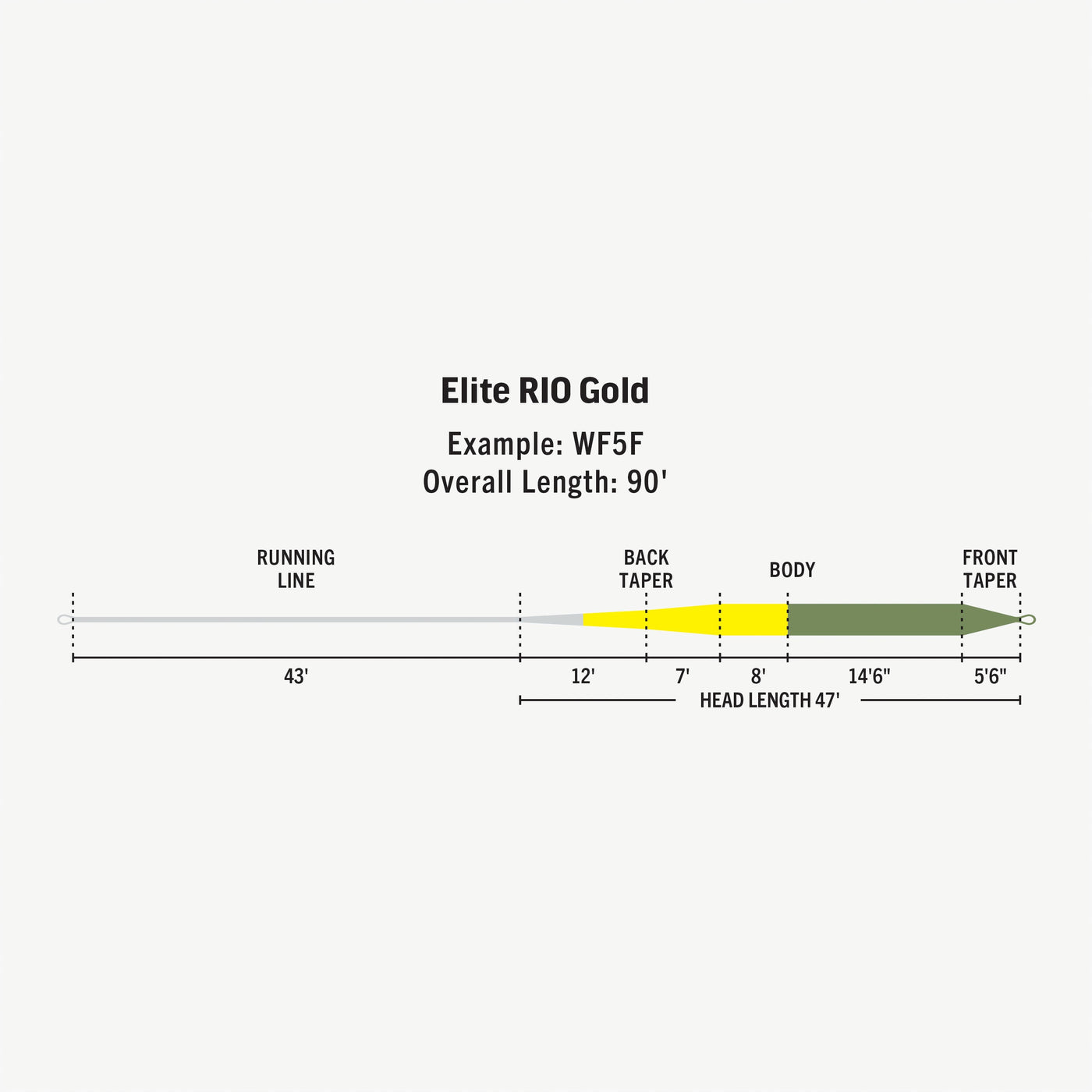 RIO Elite Gold Fly Line WF4F