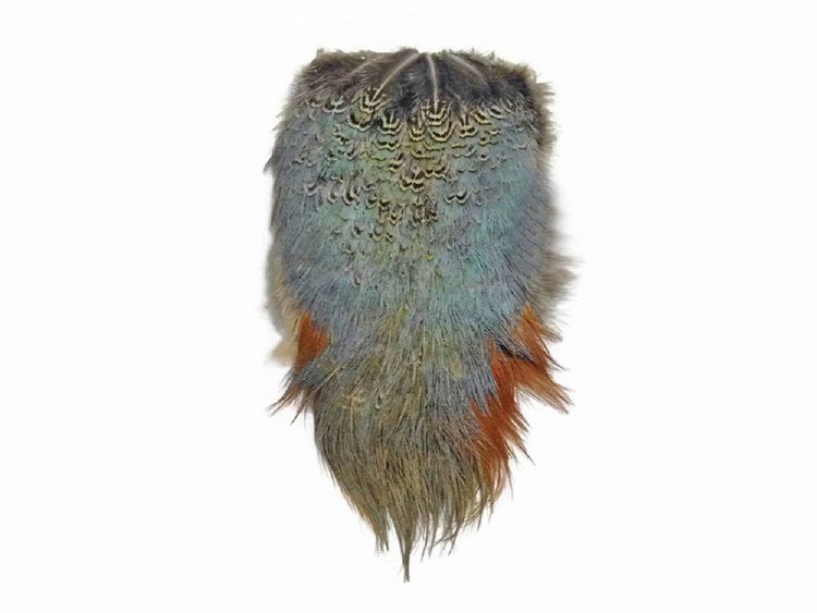 Pheasant Rump – Bow River Troutfitters