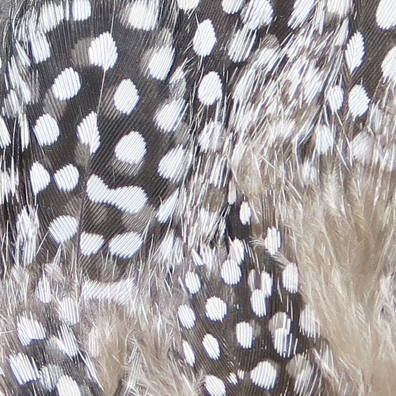 Strung Guinea Feathers